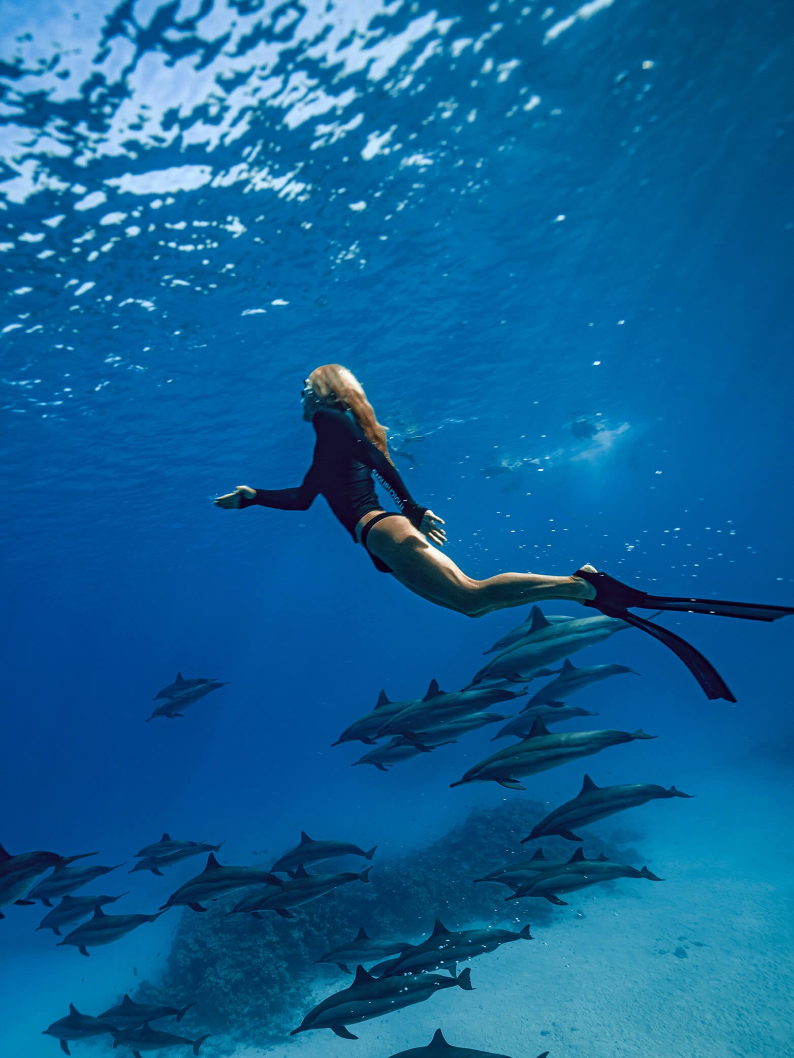 Women’s UPF 50 Rashguard