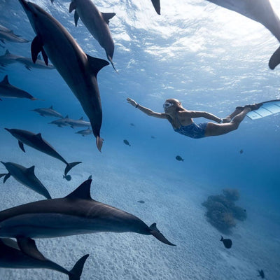 The Healing Power Of The Ocean