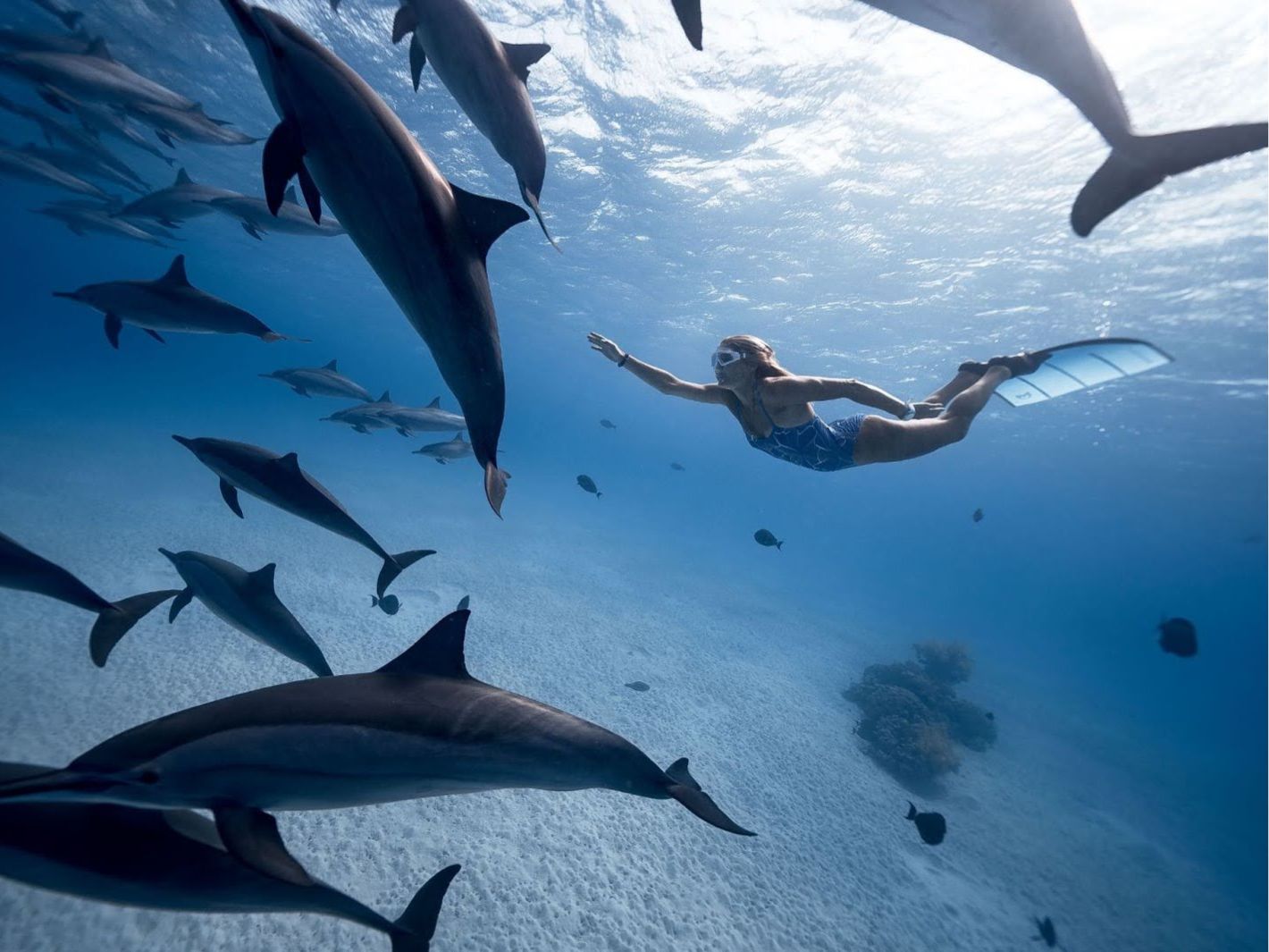 The Healing Power Of The Ocean