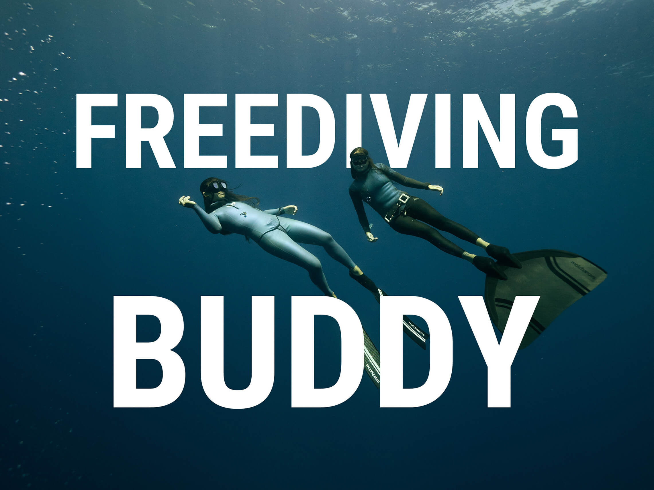 5 Things You Absolutely Need from a Freediving Buddy