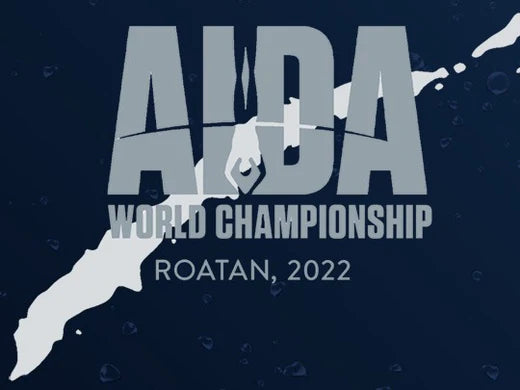 第 29 届 AIDA 世界锦标赛