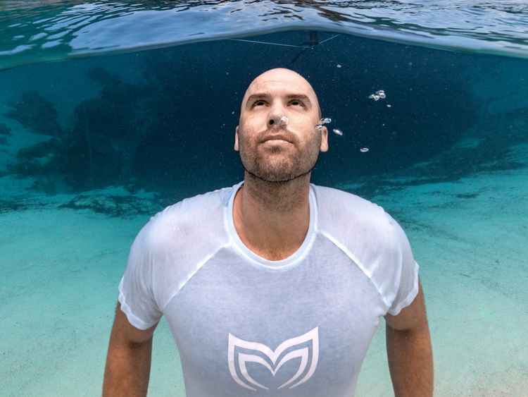 Alexey Molchanov – Molchanovs