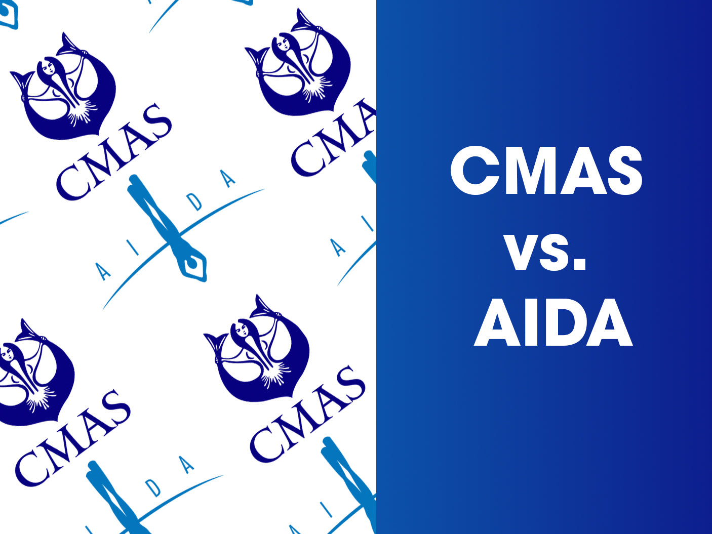 您需要了解的国际自由潜水联合会：CMAS 与 AIDA