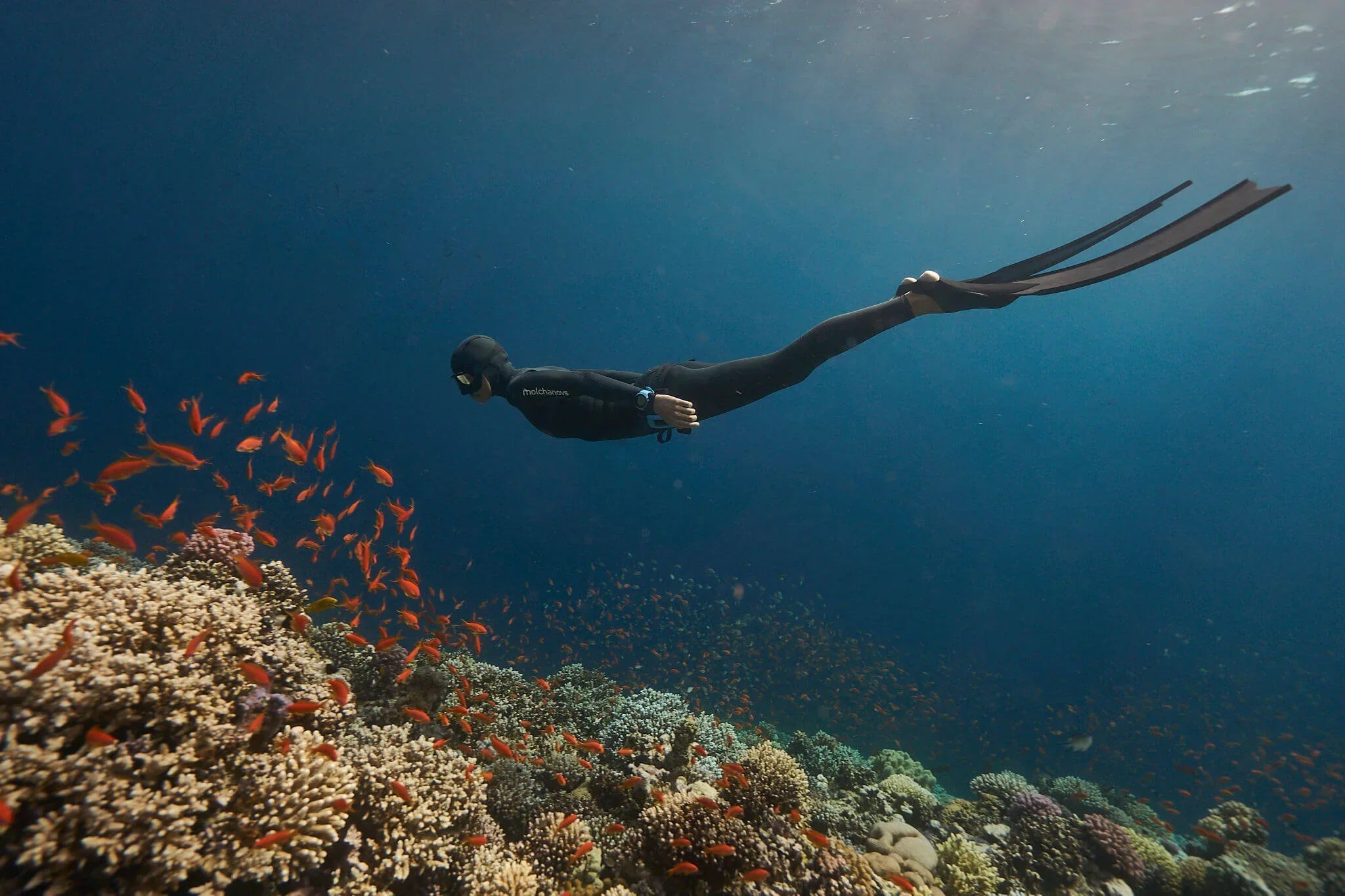 Female freediver wearing a womens cut fredddiving wetsuit while exploring a reef