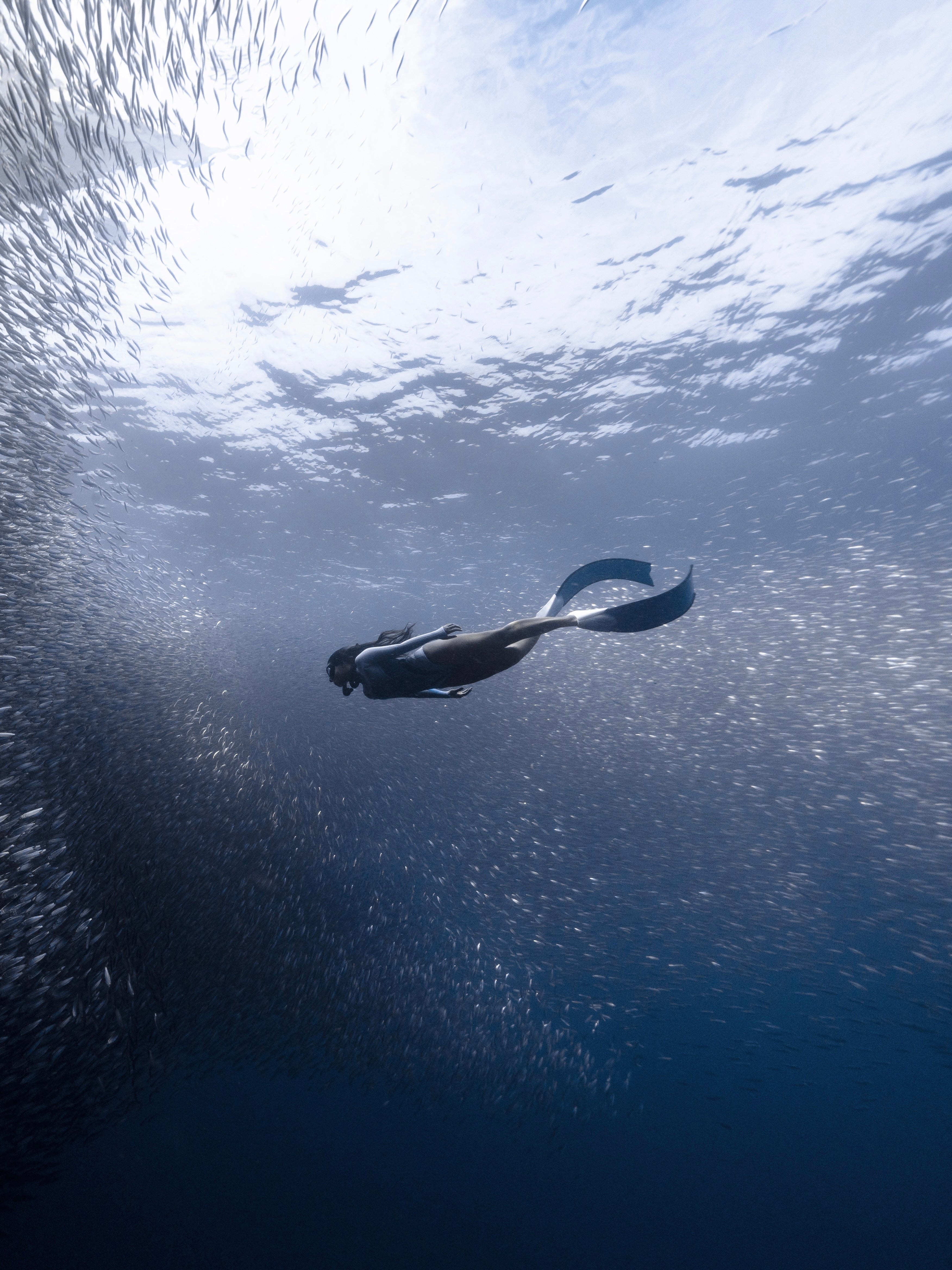 SPORT Bifins 3 Fiberglass