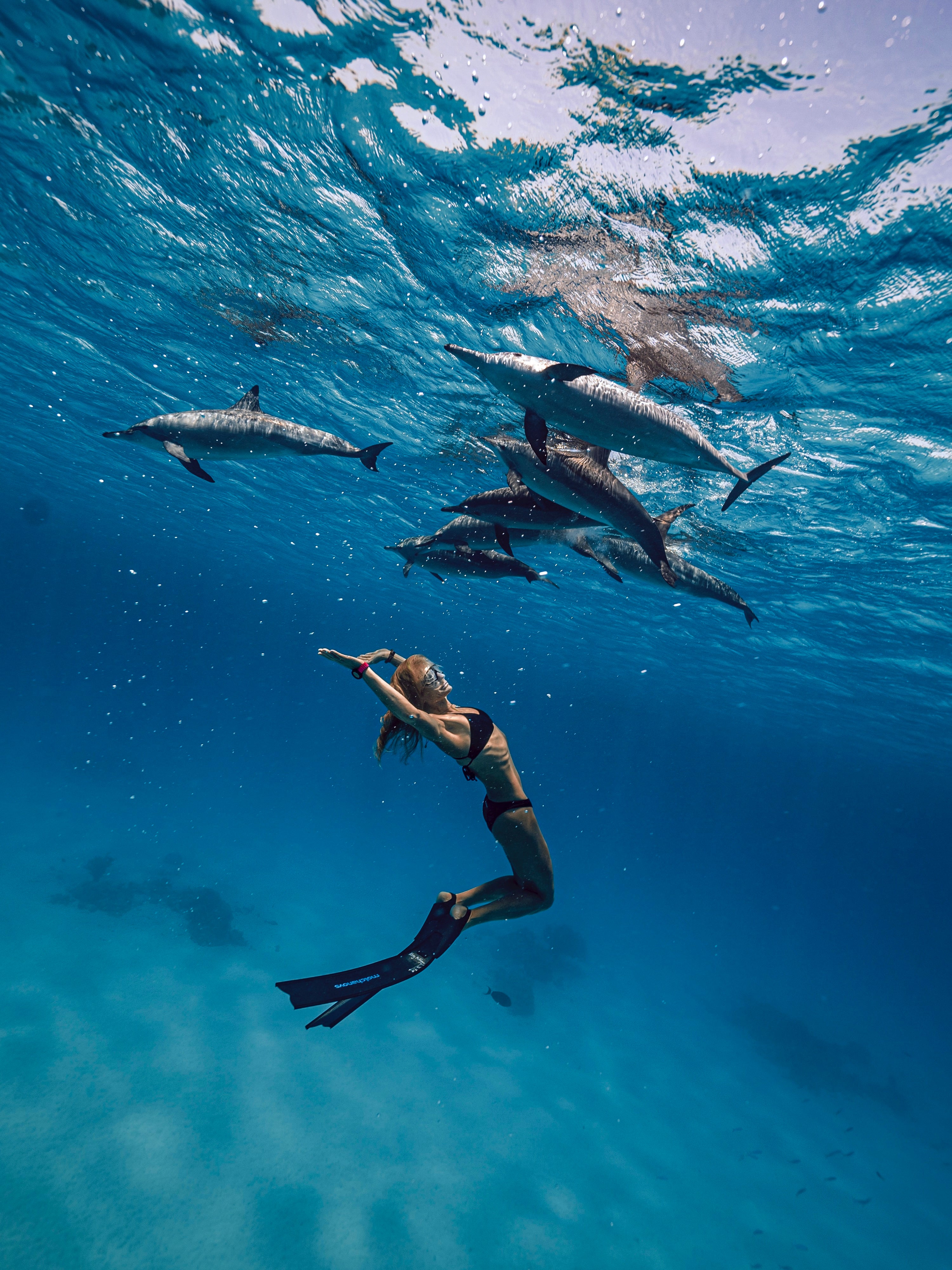 SPORT Bifins 3 Fiberglass