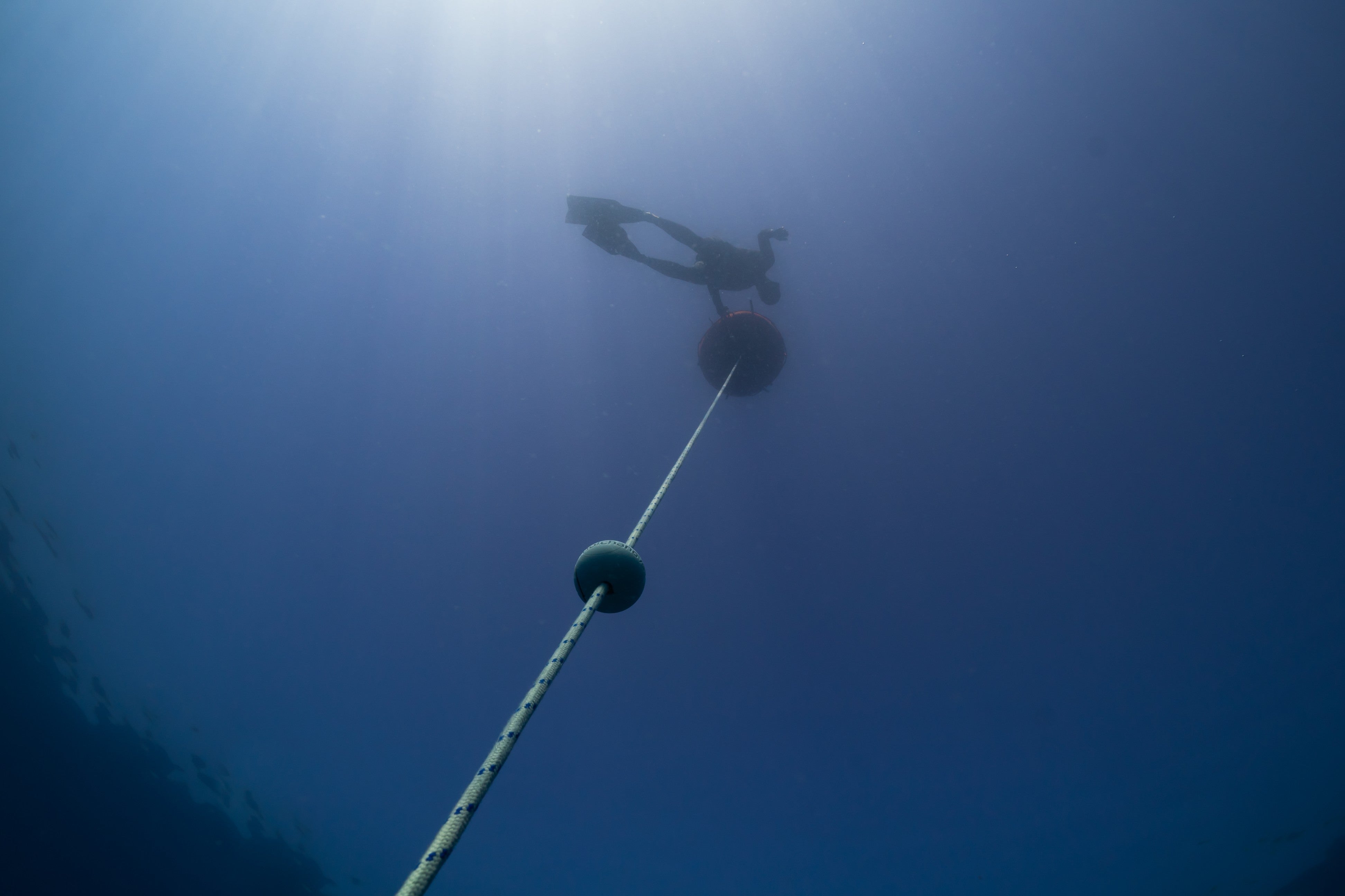 Freediving Rope